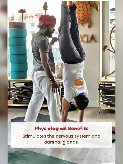 This infographic explains the physiological benefits of inversions, such as stimulating the nervous system. Our TTC students learn the science behind the practice.
