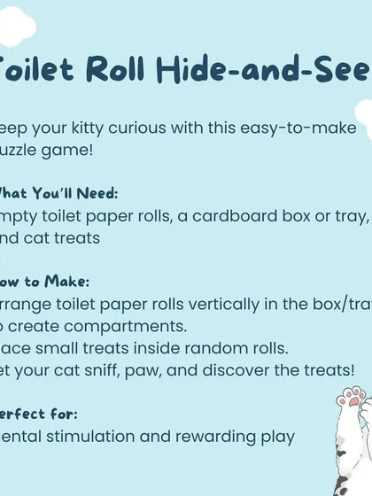 Here is a simple puzzle game for your cat using empty toilet paper rolls. It's an easy way to provide mental stimulation and reward their curiosity with treats.