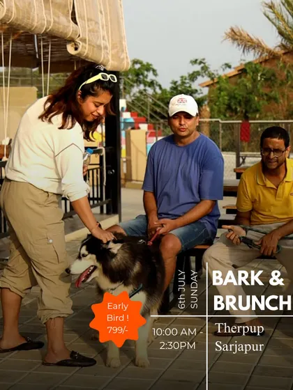 An announcement poster for our Bark & Brunch event, showing a guest interacting with a beautiful husky.