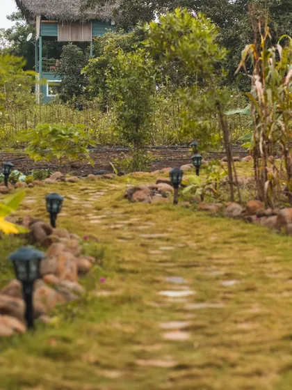This path, lined with solar lights, shows the care we put into the details of our campsite. It leads guests through our green property towards the lakeside cottages.