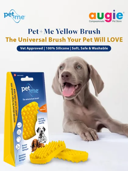 The Pet+Me Yellow Brush is a universal tool your pet will love. It's vet-approved, made from 100% soft silicone, and is perfect for dogs with short, thick, or long silky hair. It's a grooming experience, not just a brush.