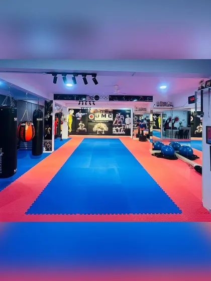 A full view of our main dojo, showcasing the matted area, punching bags, and awards on the wall. This is where champions train.