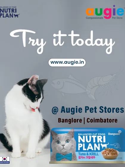 This Nutriplan Tuna & Krill wet food is a fantastic choice for adult cats. It's made in Korea with high-quality ingredients and is gentle on the stomach, making it a favorite even among picky eaters.
