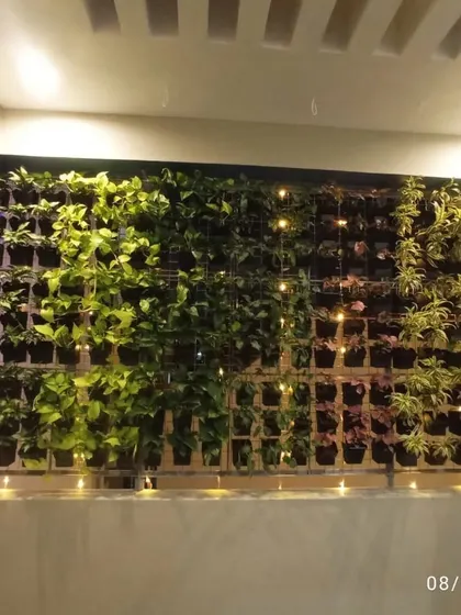 The same vertical garden viewed at night with accent lighting. The lights add a warm, inviting glow, making the green wall a beautiful focal point 24/7.
