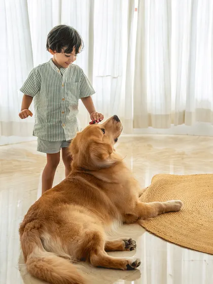 A duplicate of image 2, showing a boy brushing his Golden Retriever. This image is a strong example of the kid and pet bond.