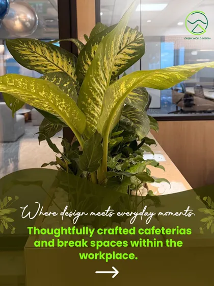 This is a closer look at the planter design for a corporate cafeteria. The selection of Dieffenbachia and other foliage plants was based on their aesthetic appeal and resilience in an indoor environment, transforming a simple break space into a green accent.