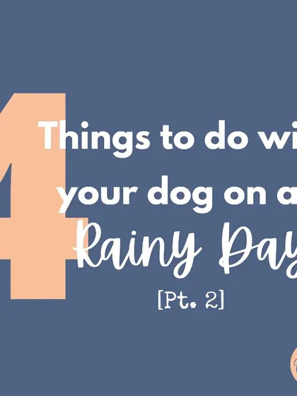 This is part 2 of my rainy day activities series. There's always something fun to do, no matter the weather!