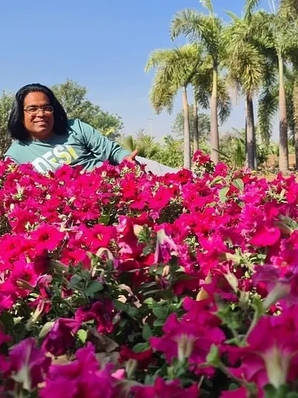 A happy moment in a field of bright magenta petunias. The vibrant color is so full of life and energy.