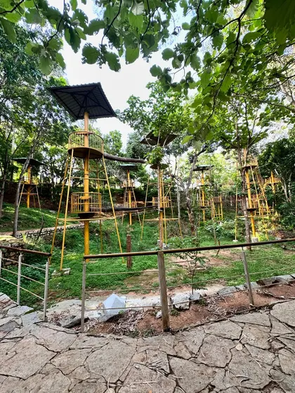 Our extensive high rope course is set amongst the trees, offering a series of exciting obstacles and challenges for your team to navigate together.