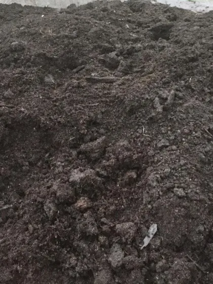 Another look at a pile of our finished compost. We make this available for pickup, though delivery is sometimes a challenge with our equipment issues.