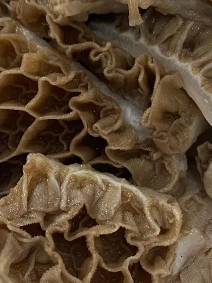 The unique honeycomb texture of buffalo tripe is highly palatable for dogs. We provide it unbleached and minimally processed to retain all its nutritional benefits.