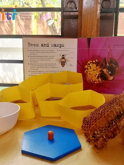 Our learning tray for the lesson on bees includes a real honeycomb, books, and craft materials. We use multi-sensory tools to make learning immersive.
