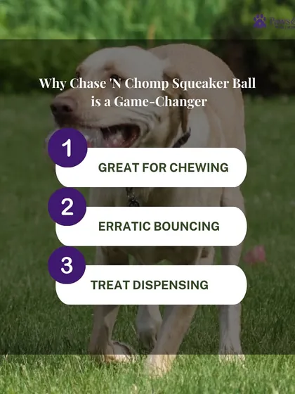 The Chase 'N Chomp Squeaker Ball is a game-changer for three reasons. It's great for chewing, has an erratic bounce that keeps dogs guessing, and can be filled with treats for added enrichment.