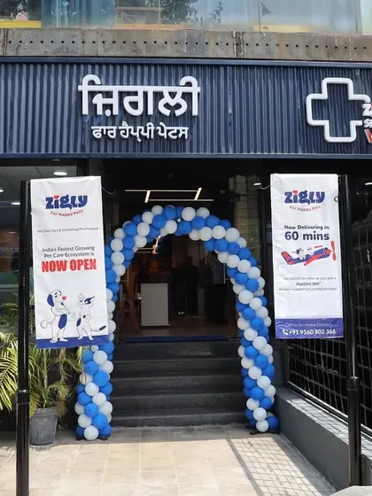 The grand opening of our Jalandhar store, complete with a balloon arch to welcome the local pet-loving community.