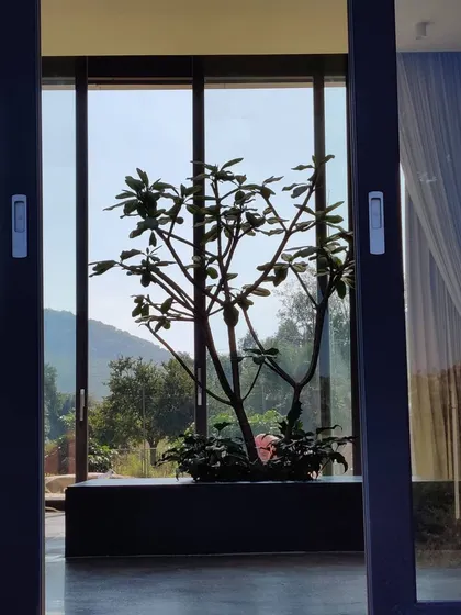 This is a duplicate of ID 100. Framing the view from the inside out at our Nandi Hills home.