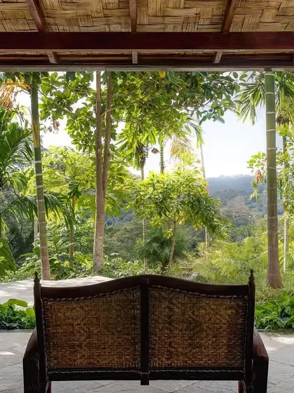 The view from the Green Room at Jalakara, looking out from the bed across the veranda to the rainforest canopy.