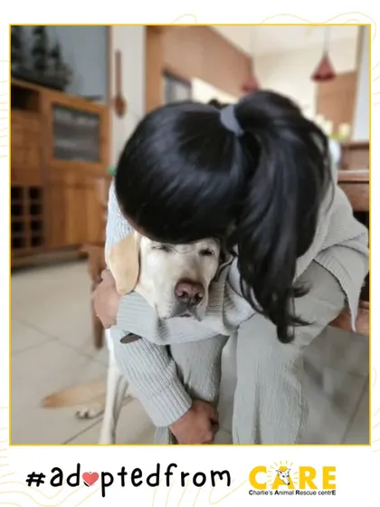 The purest form of love. Rory sharing a hug with his little human. This is the bond we hope for with every adoption.