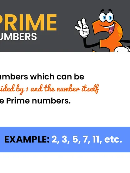 Prime numbers are numbers greater than 1 that can only be divided by 1 and themselves. 2, 3, 5, and 7 are the first few prime numbers.