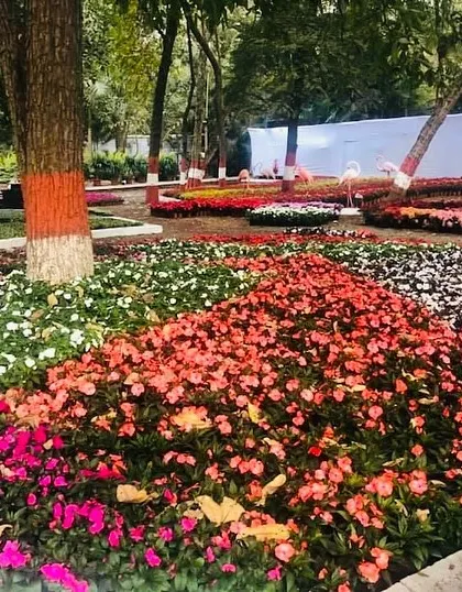 The rich colors of these flower beds create a beautiful tapestry on the ground. We use mass plantings of flowers like impatiens to create bold, sweeping patterns in our large-scale landscape designs.