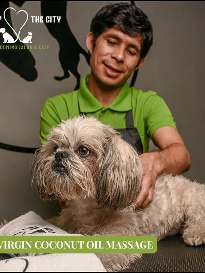 Our groomer provides a relaxing virgin coconut oil massage. This treatment is perfect for pets with dry skin or those who just deserve a little extra pampering.