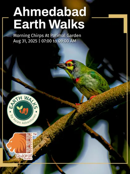 The Coppersmith Barbet, featured against a dark background to highlight its vibrant colors. This poster promotes our first-ever guided bird walk at Parimal Garden in Ahmedabad, a key green lung of the city.