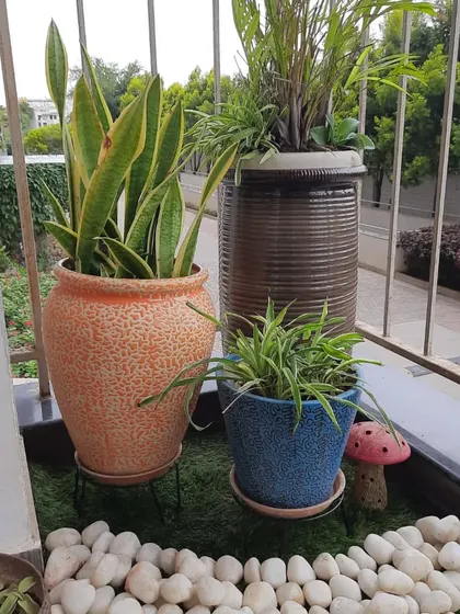 I love mixing and matching different planters to create visual interest. This corner features a variety of ceramic pots in different shapes, sizes, and textures, all brought together with a bed of white pebbles on artificial grass.