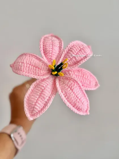 Here is a single baby pink lily, held up to show the six individual petals and the contrasting yellow and green stamen. Each one is a little piece of art.