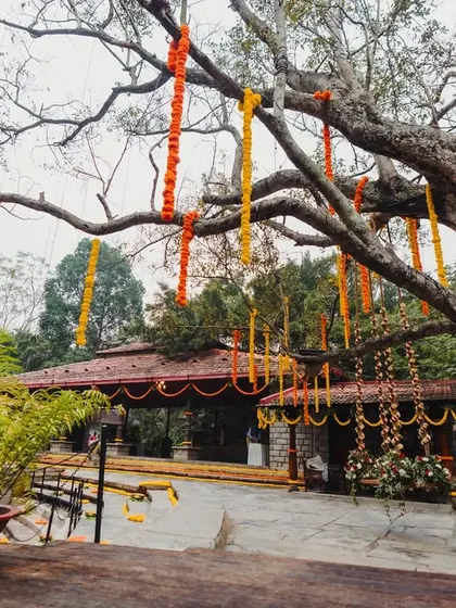 We enhanced the natural beauty of this venue by hanging simple marigold garlands from the trees, adding a touch of tradition and color.
