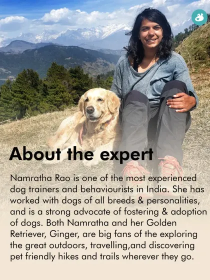 Meet Namratha Rao, one of India's most experienced dog trainers and a key expert at The Pack. She specializes in behavior modification and is a strong advocate for fostering and adoption, bringing a wealth of knowledge to our classes.
