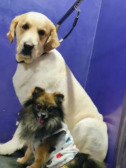 A final portrait of the two buddies before they head home.