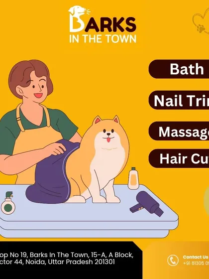 A simple breakdown of our main services: Bath, Nail Trim, Massage, and Hair Cut. We offer complete grooming packages to suit your pet's needs.