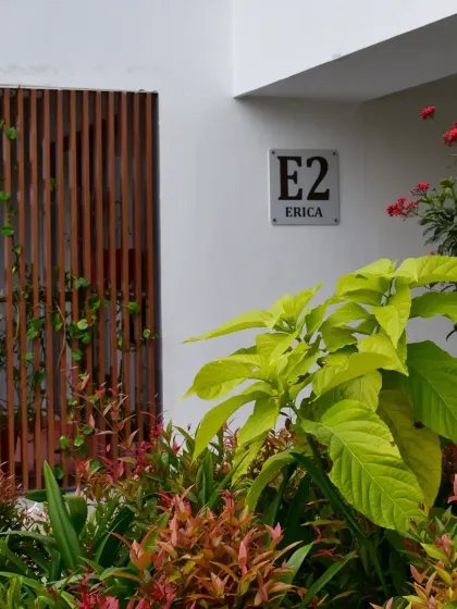 A close-up view at Sona Vistaas shows the interplay of materials and planting. The wooden screen provides privacy and a natural texture, while the vibrant foliage softens the building's edge and contributes to a healthier microclimate.