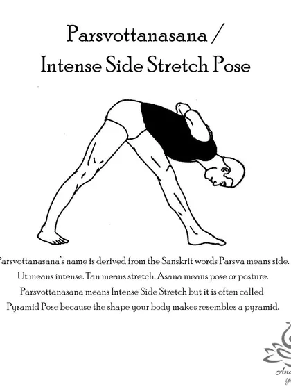 Parsvottanasana (Intense Side Stretch Pose) deeply stretches the spine, shoulders, wrists, hips, and hamstrings, while also calming the brain.