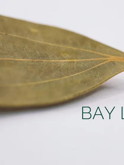 Bay Leaf, or tej patta, imparts a subtle, aromatic fragrance to rice dishes, curries, and braises.
