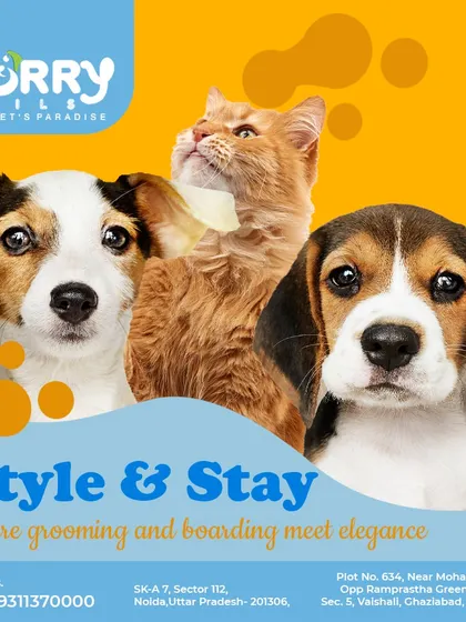 We offer both Style & Stay services, where grooming and boarding meet elegance. We provide top-tier care for dogs and cats at our Noida and Vaishali locations.