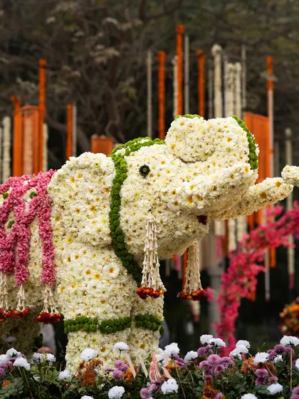 A close-up of the magnificent floral elephant, crafted from white daisies and adorned with a saddle of pink flowers. This installation was a major photo attraction and a beautiful nod to Indian tradition within a modern boho theme.