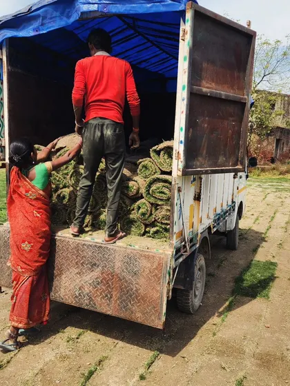 Our team loading a smaller truck with Mexican grass turf for a local booking.