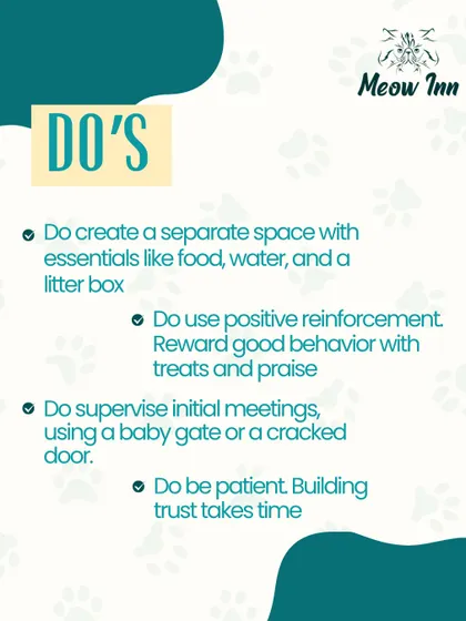 When introducing a new cat, here are the essential things you should do. Creating a separate, safe space and using positive reinforcement are key steps to building trust and a lasting bond.