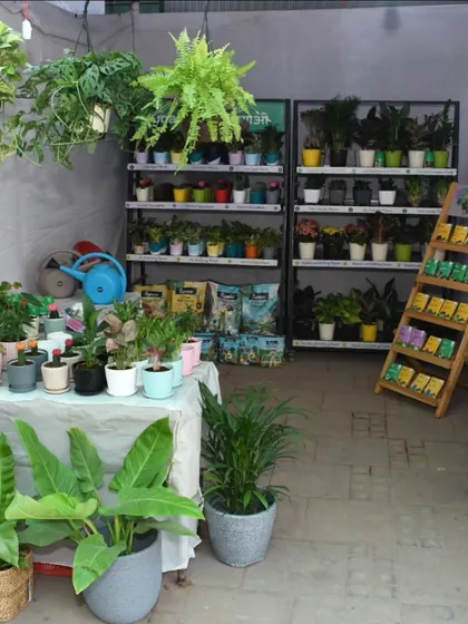 A vendor's stall showcasing a delightful mix of plants and colorful planters. You can find everything you need to start or expand your plant collection.