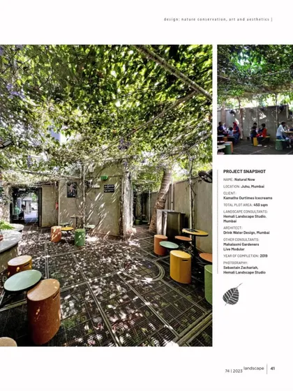 This published feature shows the project in detail. The design creates a cocoon of plants for customers, using light and shadow from the overhead trellis to create a dramatic garden experience.