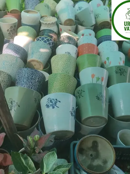 A collection of colourful, patterned ceramic pots.