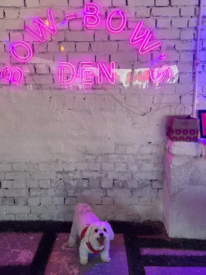 The perfect photo opportunity at our Dwarka location. Our vibrant and welcoming space is designed to be a happy haven for both pets and their parents.