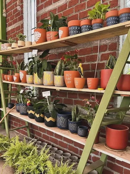 A close-up of our planter shelf. I love sourcing pots with unique patterns and textures to help you express your personal style through your plants.