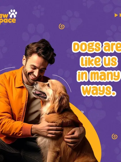 From their playful antics to their quiet companionship, dogs are like us in so many wonderful ways. This post celebrates the beautiful similarities we share with our four-legged best friends.