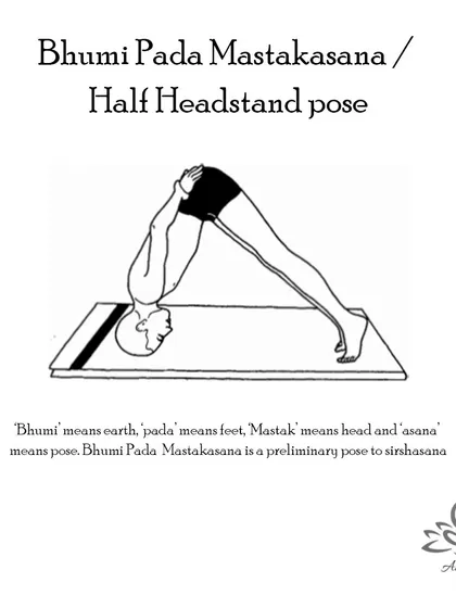Bhumi Pada Mastakasana (Half Headstand Pose) is a preparatory pose for headstand that strengthens the neck and back, improves concentration, and balances the nervous system.