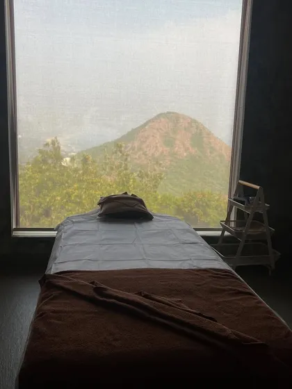 A treatment room at Pema Wellness, overlooking the hills. Naturopathy and Ayurveda retreats are a yearly ritual for me to learn, experience, and understand these sister sciences of yoga.