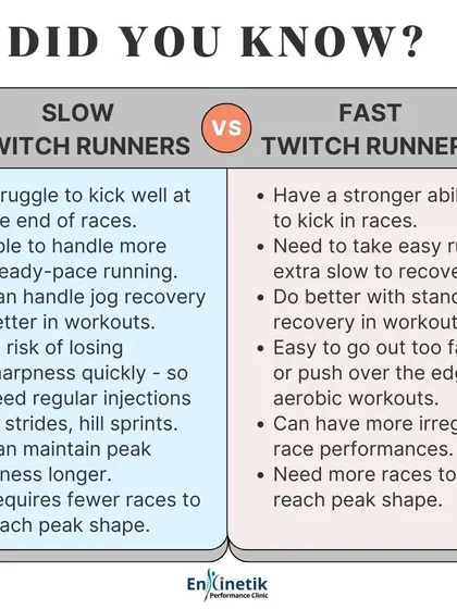 Understanding your muscle fiber type, whether you are a slow-twitch or fast-twitch dominant runner, can inform your training. This helps us tailor your workout schedule, recovery protocols, and race strategy for optimal performance.