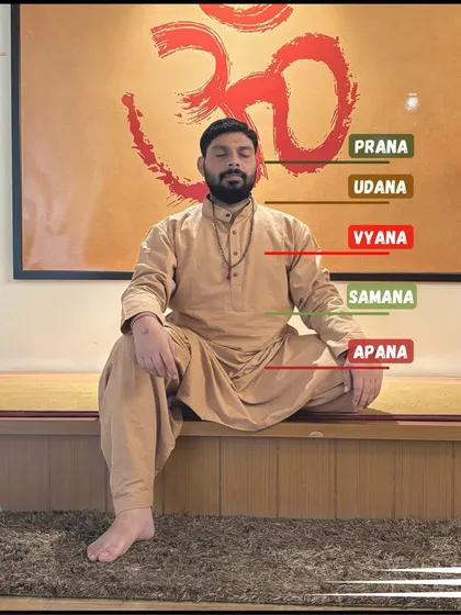 An infographic illustrating the five Prana Vayus, the vital energies that govern different functions in our body. Understanding them is key to a deeper practice.