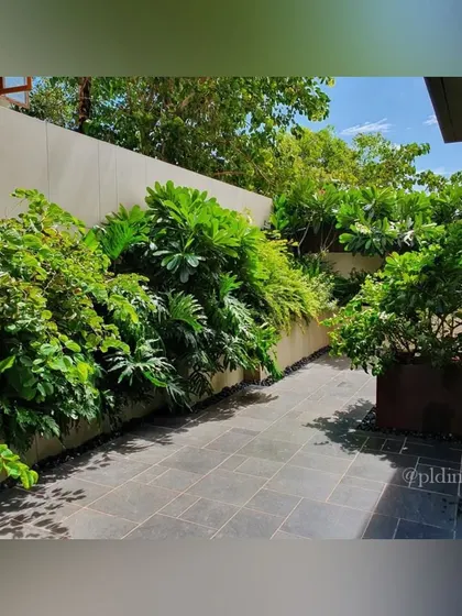 A sunlit view of a garden path bordered by raised planters filled with dense, multi-layered greenery. This design creates a feeling of being immersed in nature.