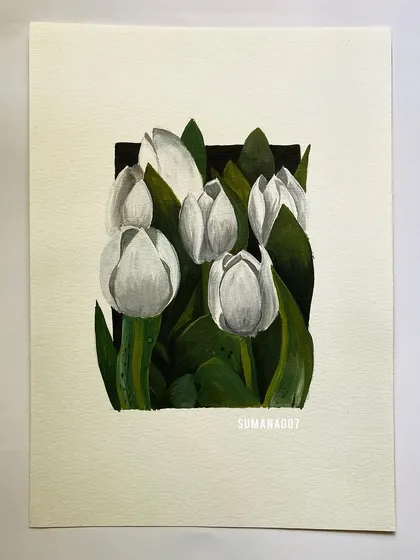 A simple and elegant painting of white tulips on paper, a study in light, shadow, and form.